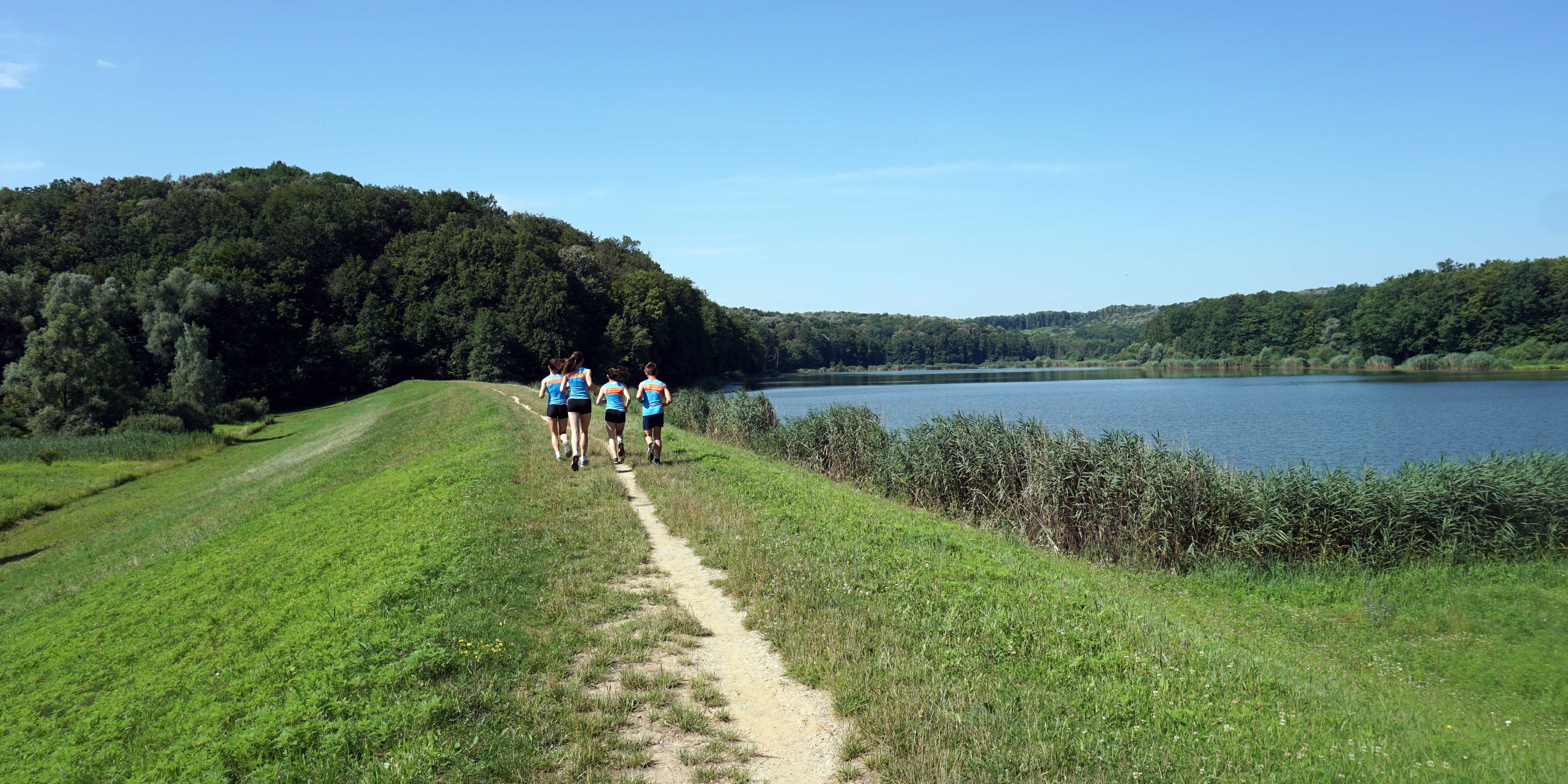 virovitički_ribnjaci